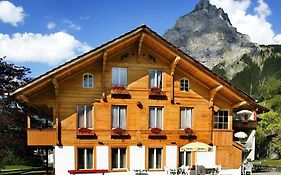 Hotel Alpina Kandersteg